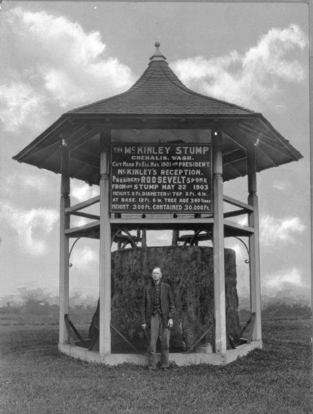 View of a man standing in front of a huge wooden stump called the McKinley stump which is housed under a small gazebo. A sign relates that the tree was cut in 1901 for President McKinley's reception and President Roosevelt spoke from the stump on May 22, 1903.  The stump and gazebo stand in an empty field.