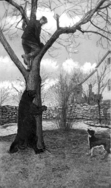 View of a boy perched in a tree with a bear standing at the base while a dog looks on. In the background are stone walls and a house.