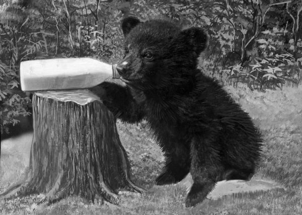 Photograph of an illustration of a bear cub in Bear Mountain Park drinking from a baby bottle that is propped on a stump.