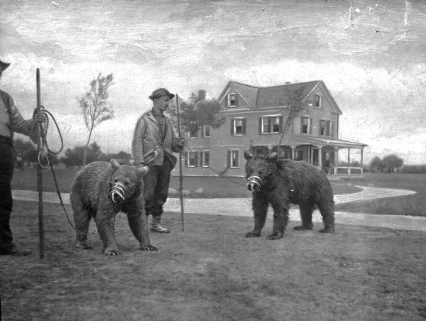 View of two men with two bears on leashes standing on a lawn. The bears are wearing muzzles and the men have staves. A large house is in the background.