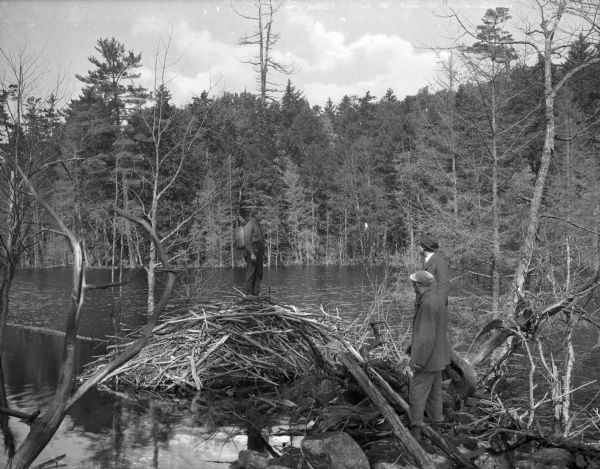 Three men stand on a beaver dam on Big Moose Lake. The lake and surrounding treeline fill the background.