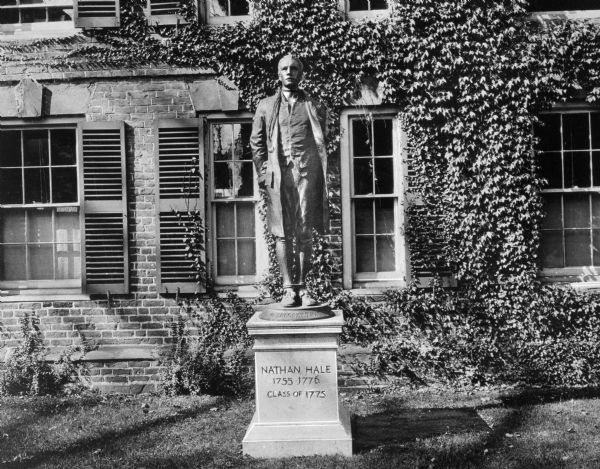 A bronze statue at Yale College honoring Nathan Hale.  The ivy covered brick wall of Connecticut Hall fills the background of the photo.