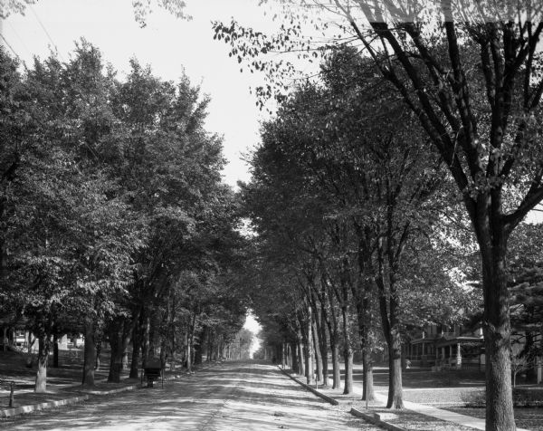 View down a tree-lined residential street.  A horse-drawn carriage stands on the street and the large columned porches of houses can be seen through the trees.