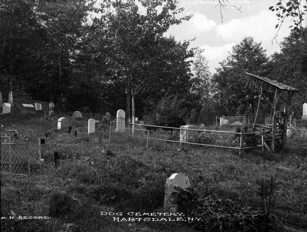 A view of a dog cemetery.