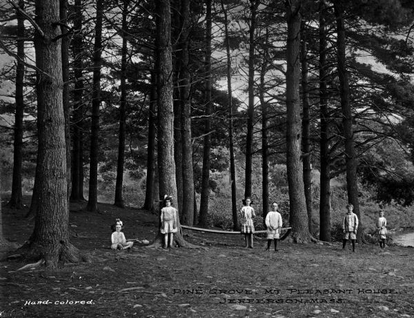 Children posed outdoors in a wooded area in Pine Grove, Mount Pleasant. Caption reads: "Pine Grove, Mt. Pleasant House, Jefferson, Mass."