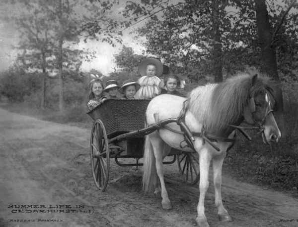 A pony pulling a cart of six children. Text at bottom reads: "Summer Life in Cedarhurst, L.I."