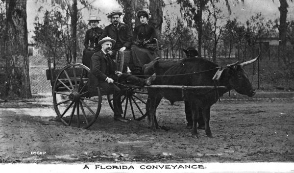 Two men and two women pose on an ox cart. Caption reads: "A Florida Conveyance."