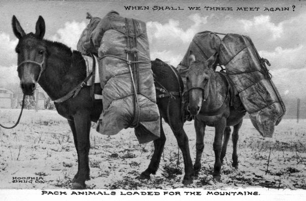 Donkeys loaded for packing in the Rocky Mountain area. Caption at top reads: "When shall we three meet again?" Caption at bottom reads: "Pack Animals Loaded for the Mountains."