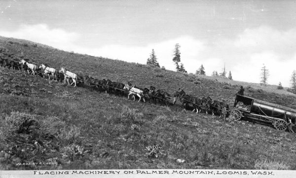 Many teams of horses placing machinery on Palmer Mountain, climbing to 4,291 feet above sea level. Caption reads: "Placing Machinery on Palmer Mountain, Loomis, Wash."