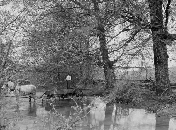 A man is standing on a horse-pulled wagon crossing a stream in Sweetwater, Tennessee, founded in 1875.