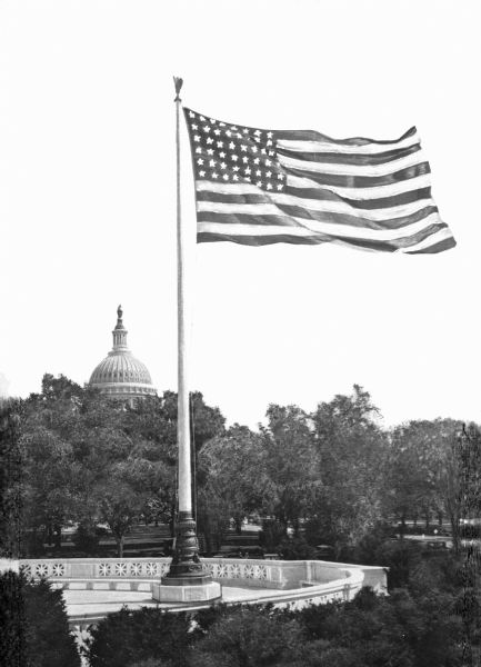 The United States Flag on a pole, waving.  The United States Capitol stands in the background.