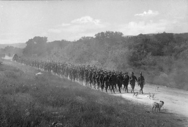 A large formation of soldiers, led by four dogs, marching down a dirt road at Camp Travis, named in 1917.