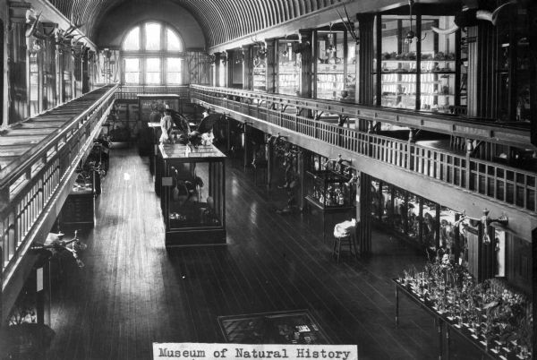 Elevated interior view of the Fairbanks Museum of Natural History taken from the balcony. Established in 1891, the museum features animals and artifacts. A large, arched window is at the end of the hall. Caption reads: "Museum of Natural History."