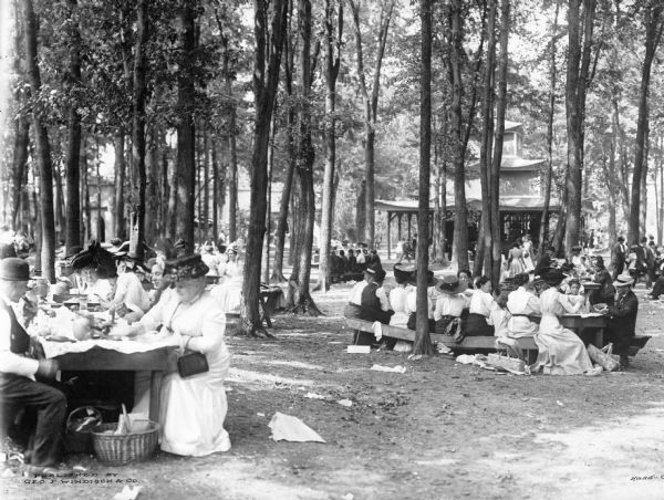 View of groups of people picnicking on picnic tables in the woods. A pavilion is in the background.