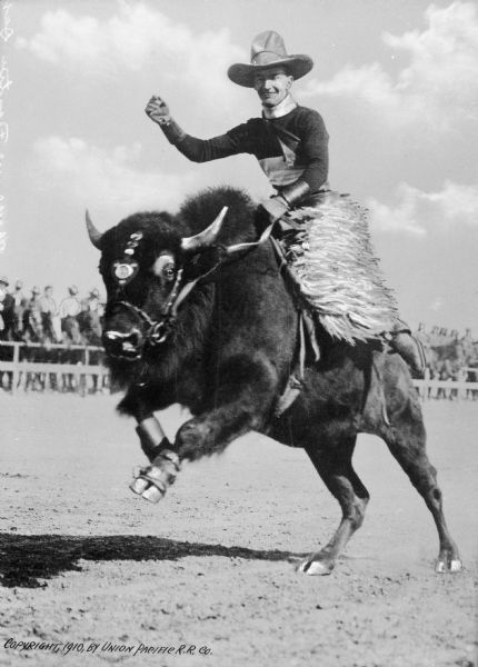 Rodeo producer, Verne Elliott (1890-1962) rides a bucking buffalo at a "Frontier Days" rodeo. In the background are observers on horseback.