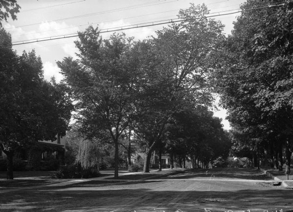 View down State Street, looking north. The road is lined with trees, sidewalks and dwellings.
