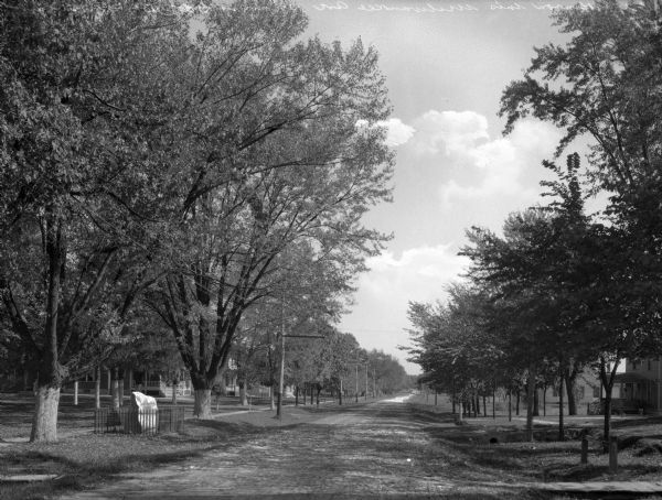 View down Milwaukee Avenue.  On the left side of the road, the Daughters of the American Revolution Monument, erected in 1907, can be seen among trees treated with an insecticide.