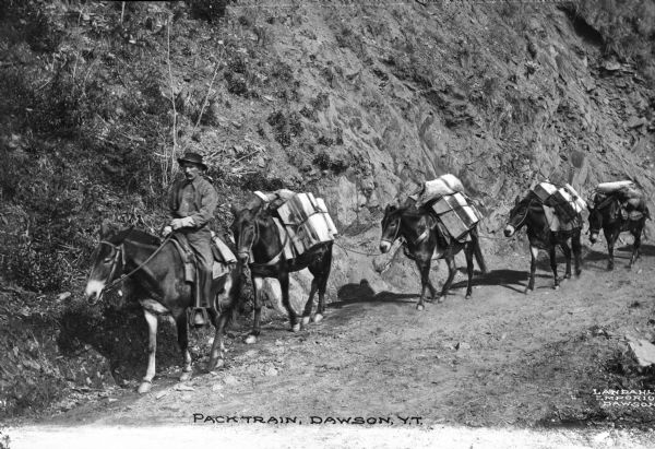 A man leads a pack train of mules laden with packages down a trail near Dawson, Yukon Territory, Canada. Caption reads: "Packtrain, Dawson, Y.T."