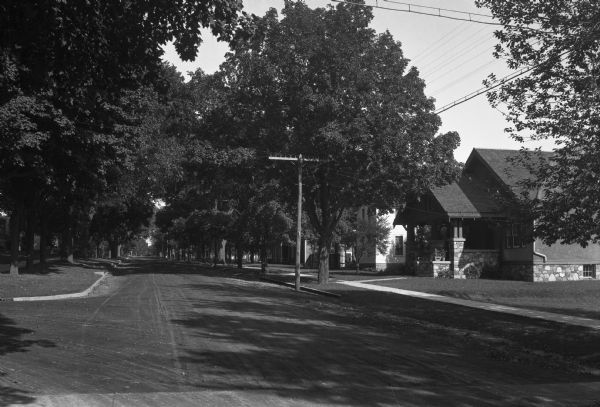 Trees and homes along E. Park Street looking south from Oak Street.