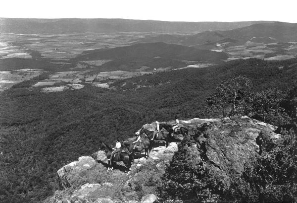 Valley view from Skyline Drive. Four people on horseback look down upon the farmland of the valley from a rocky ledge.