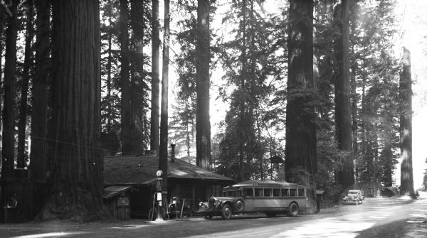 View of Lanes Redwood Flat, stores that stand in the midst of redwood trees. A bus and automobile are parked in front of the building.