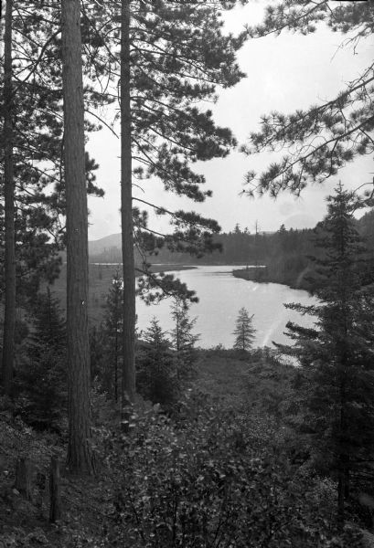 View through the pines toward Raquette Lake.