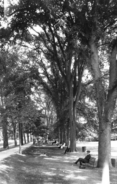 People rest beneath the shade of trees on benches alongside a path through a park.