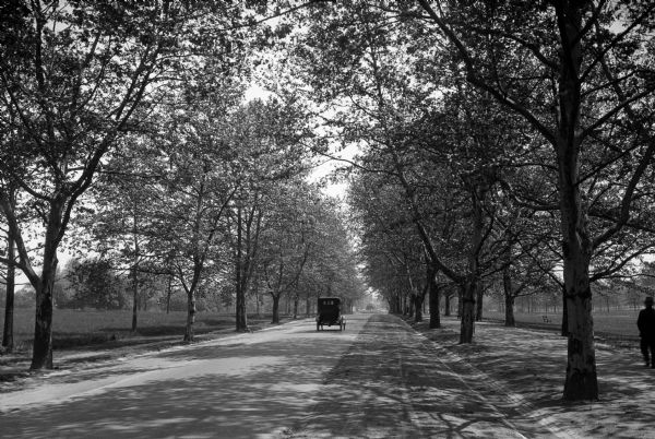 View down 52nd Street, a road leading into Fairmount Park.  An automobile and a pedestrian pass by rows of trees.