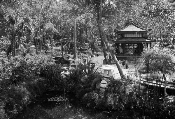 View of the Eagles Nest, a Japanese Garden featuring a pond, bridge and building amongst plants and trees.