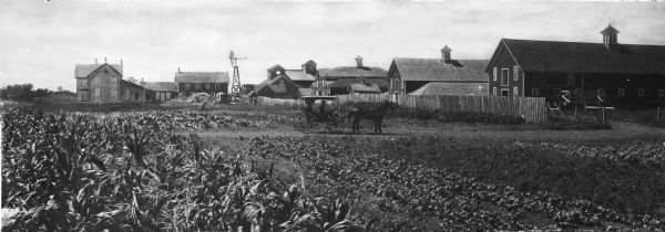 A horse and carriage drives down a lane past a farmhouse, barns, and a windmill.