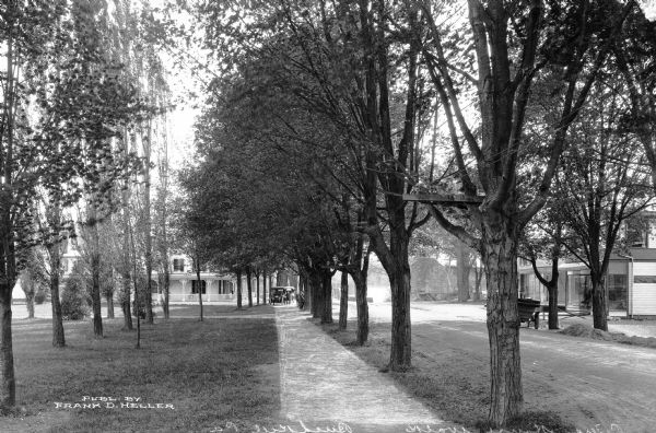 View down a tree-lined residential street.  Published by Frank D. Heller.
