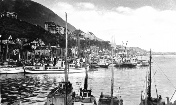 View of the waterfront, crowded with boats.