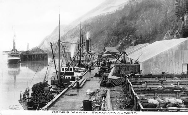 View of Moore's Wharf with shipments standing on it, including pens with livestock.