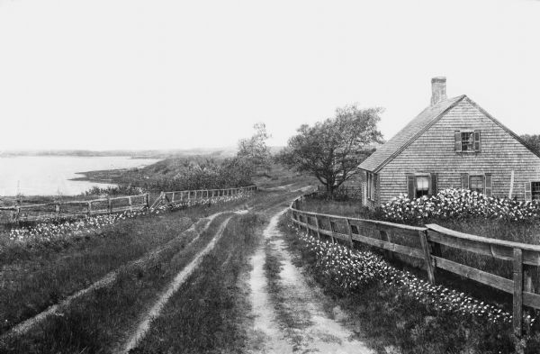 View of a cottage separated from Oyster Pond by fences and an unpaved road.