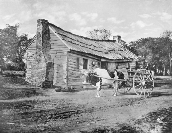 Exterior view of a weathered cabin.  An ox-drawn cart stands in the foreground.