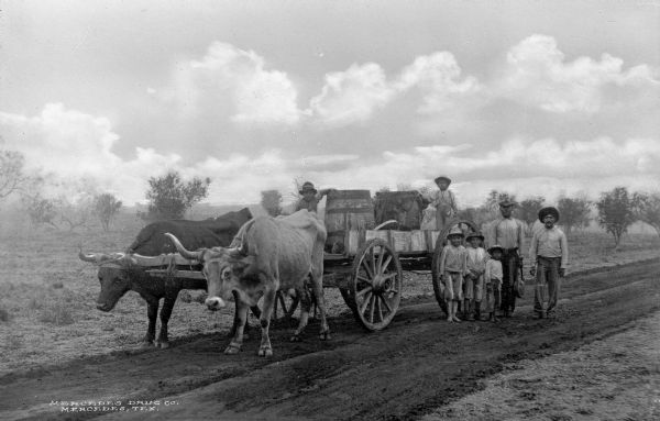 View of two men and five young boys posed on the open road with an oxen-drawn wagon and water barrels. Published by Mercedes Drug Company.