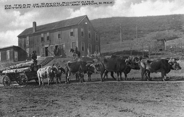 View uphill of a team of oxen with a wagon stacked with lumber. In the background, men gather outside a general store located in the Raton Mountains, between Trinidad, Colorado and Raton, New Mexico.