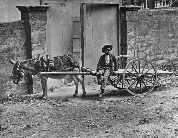 A young boy sits on a cart pulled by a burro.