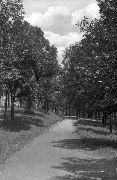 Wooded path on campus of Beloit College.
