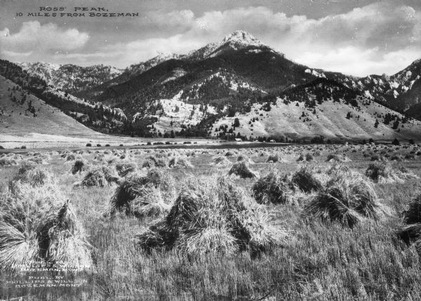 A view of Ross Peak and wheat fields below, 10 miles from Bozeman. Caption reads: "Ross Peak, 10 miles from Bozeman."