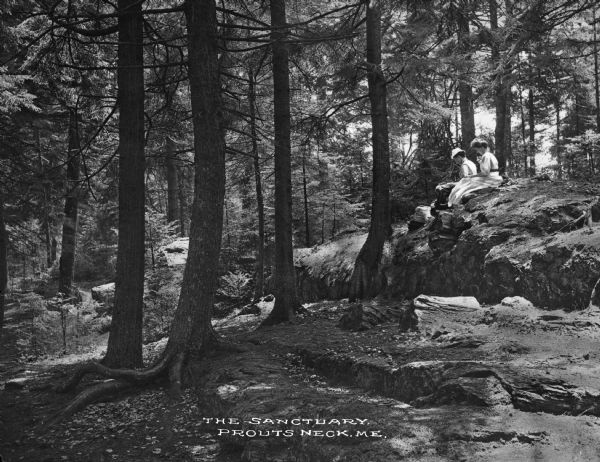 A serene atmosphere of tall trees on a rocky hillside, with two women sitting on a rock formation. Caption reads: "The Sanctuary. Prouts Neck, ME."