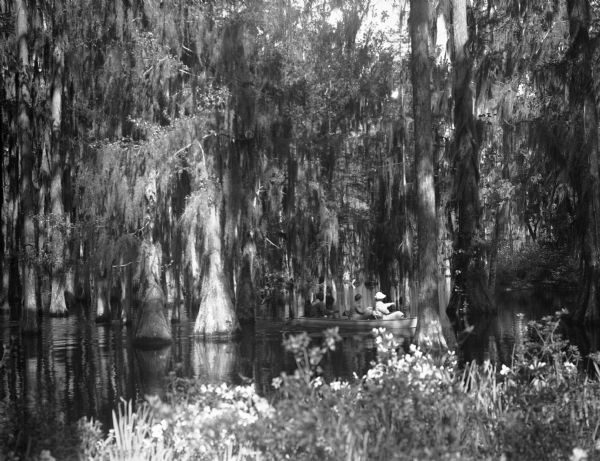View from shoreline toward two men and a woman seated in a boat, traveling through the water at Cypress Gardens.