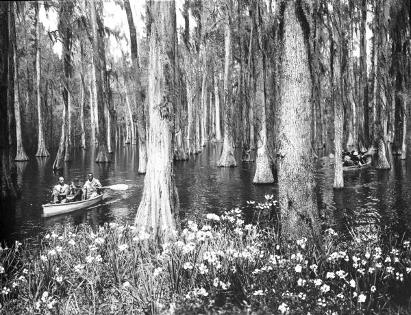 View from shoreline toward people boating in Cypress Gardens. Two boats are visible, holding both men and women.