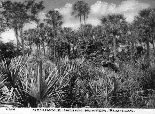 A view toward a Seminole Native American hunter pointing a gun while standing in a swamp area with large plants. Trees are in the background. Caption reads: "Seminole Indian Hunter, Florida."