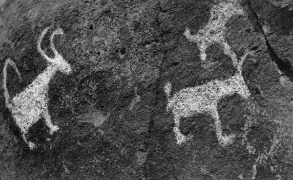 Native American petroglyph rock carvings near Tucson.