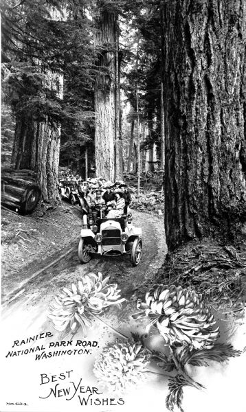 View toward a line of tourist cars driving through a narrow road in Rainier National Park. There are redwood trees on either side of the path. Caption reads: "Rainier National Park Road, Washington." and "Best New Year Wishes."