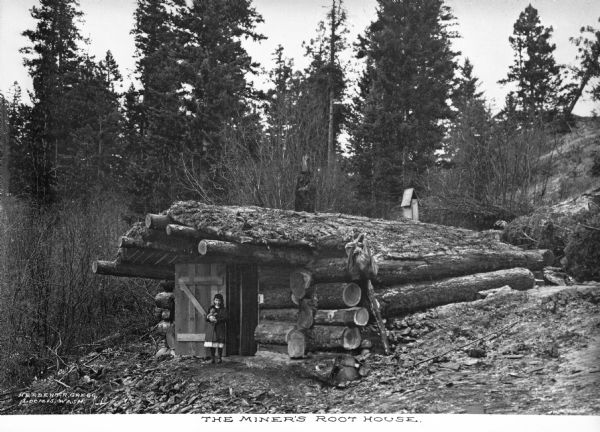 The Miner's Root House, a long, low, log structure. A young girl is standing outside of the door, holding a kitten or other small creature. Caption reads: "The Miner's Root House."