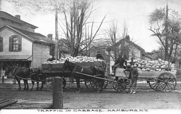 A view of three men and a boy with two horse-drawn wagons full of cabbage, on a street in front of buildings. Caption reads: "Traffic in Cabbage. Hamburg, N.Y."