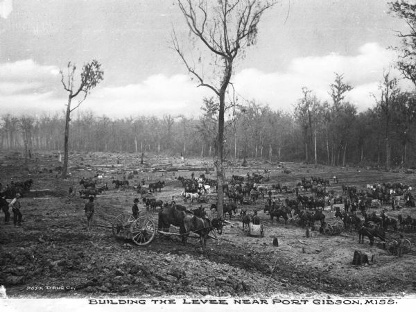 View of the process of building a levee, including many horses and people. Caption reads: "Building the Levee near Port Gibson, Miss."
