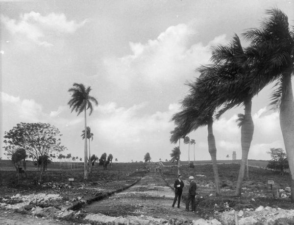 View down a road being constructed in Havana, Cuba. Two men are standing and talking on the road, and other men working on the road  in tharee distance.
